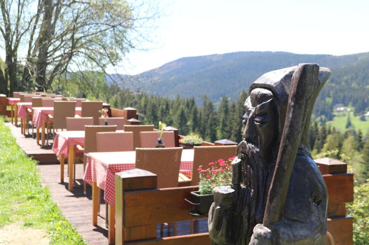 Hotel Hromovka Spindleruv Mlyn Exterior photo